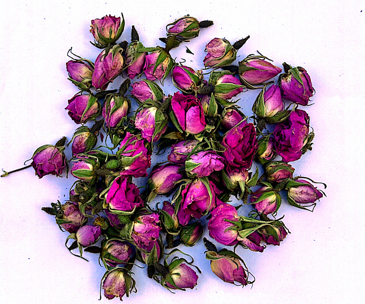 Rose Séchée Bouton  (Dried Rosebud)